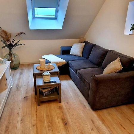 Appartement Charmant Et Spacieux Auxerre Buitenkant foto