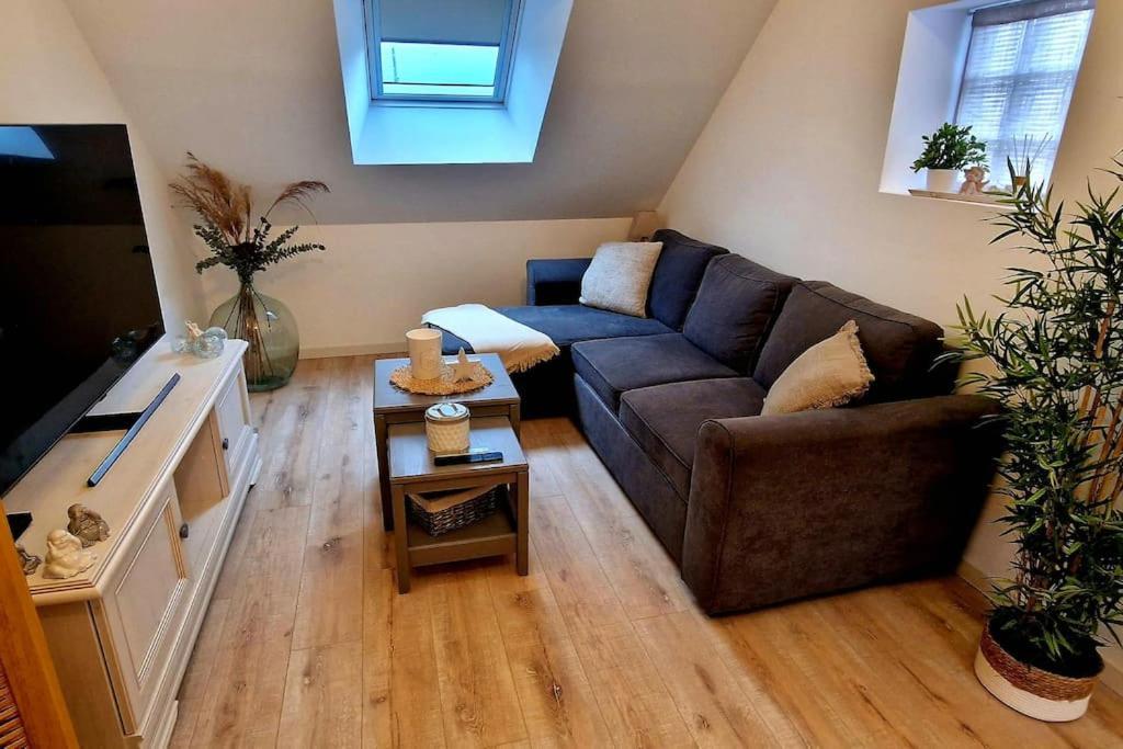 Appartement Charmant Et Spacieux Auxerre Buitenkant foto