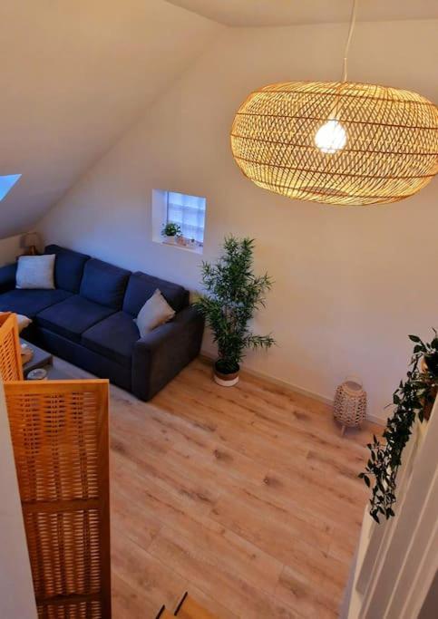 Appartement Charmant Et Spacieux Auxerre Buitenkant foto
